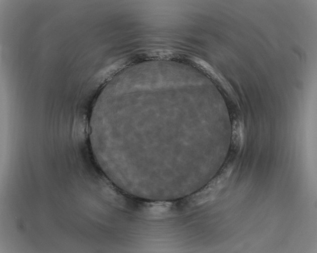 X0000113250474200910011350