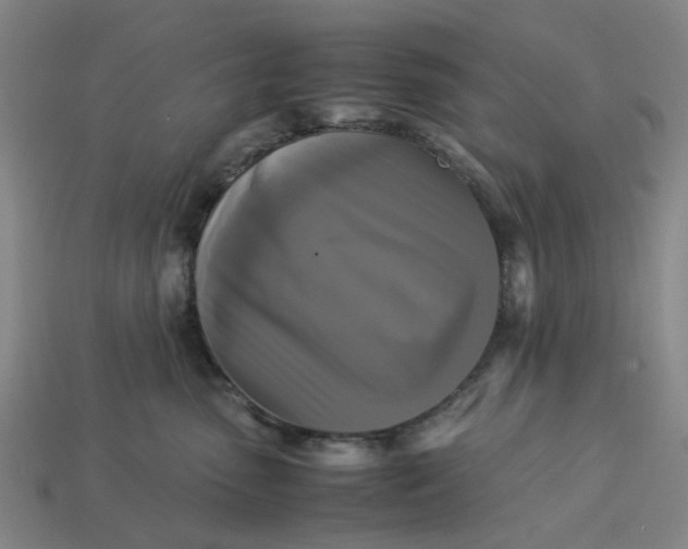 X0000113250475200910011350