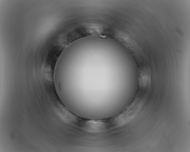 X0000113250477200910011350