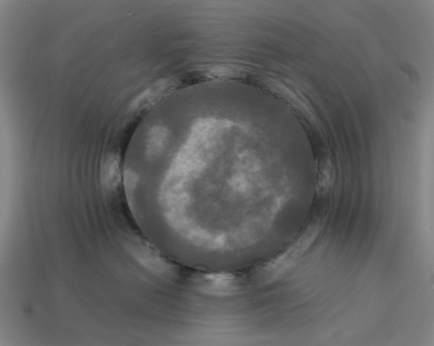 X0000113250478200910011350