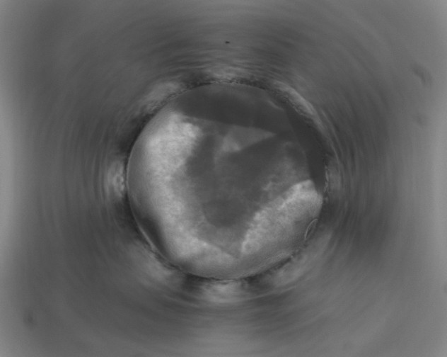 X0000113250479200910011350