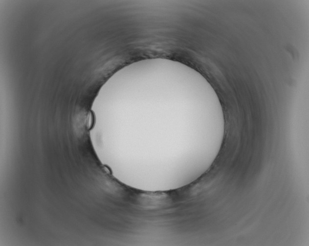 X0000113250480200910011350