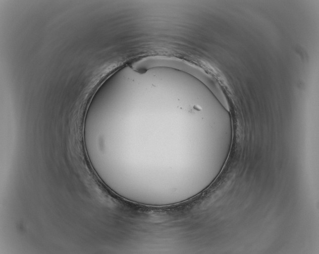 X0000113250481200910011349