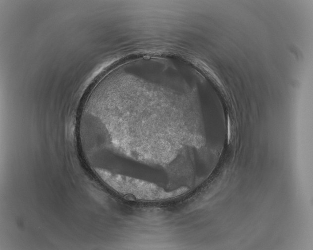 X0000113250483200910011349