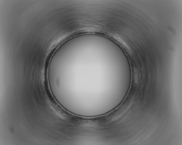 X0000113250486200910011349