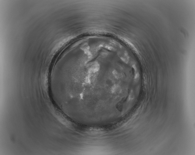 X0000113250487200910011349