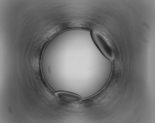 X0000113250489200910011349