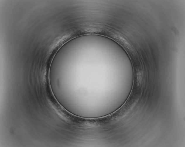 X0000113250490200910011349