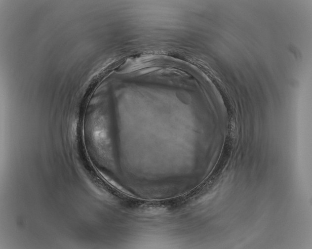 X0000113250491200910011349