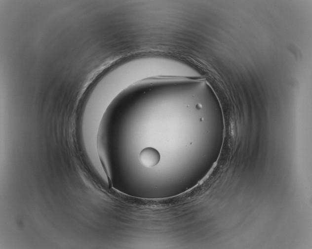 X0000113250492200910011349