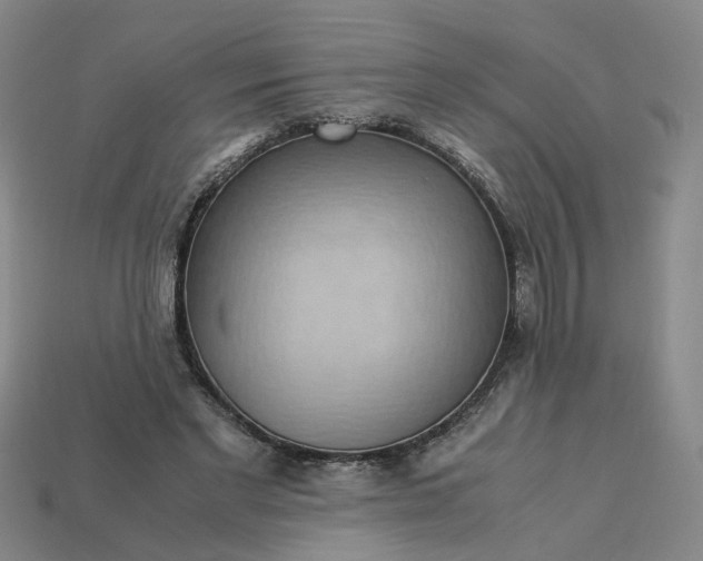 X0000113250493200910011349