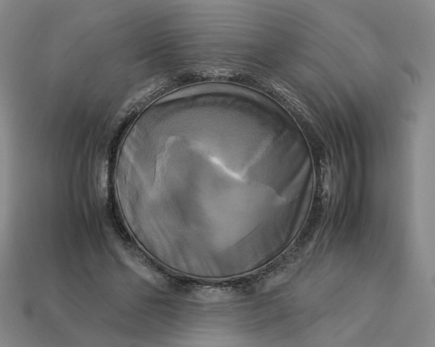 X0000113250494200910011349