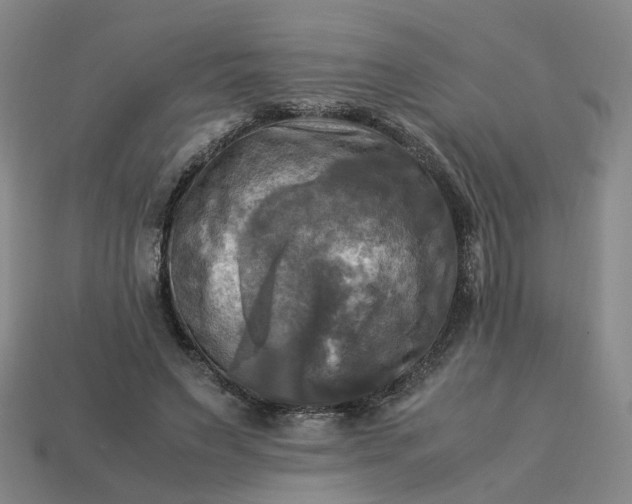 X0000113250495200910011349