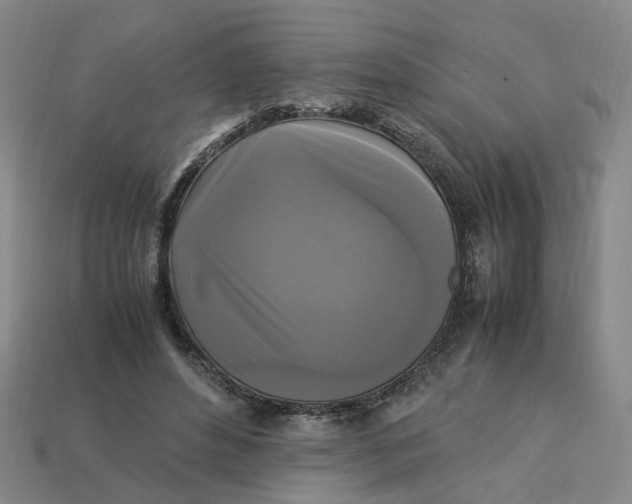 X0000113250496200910011349