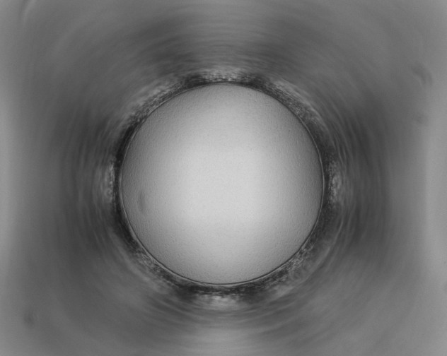 X0000113250498200910011349