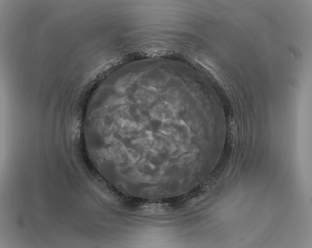 X0000113250499200910011349