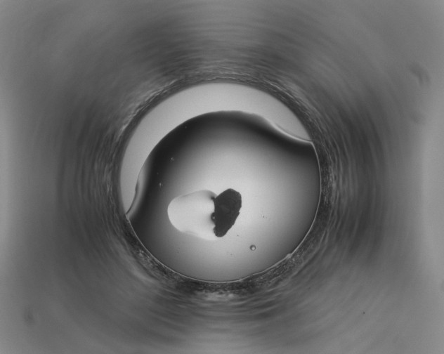 X0000113250500200910011349