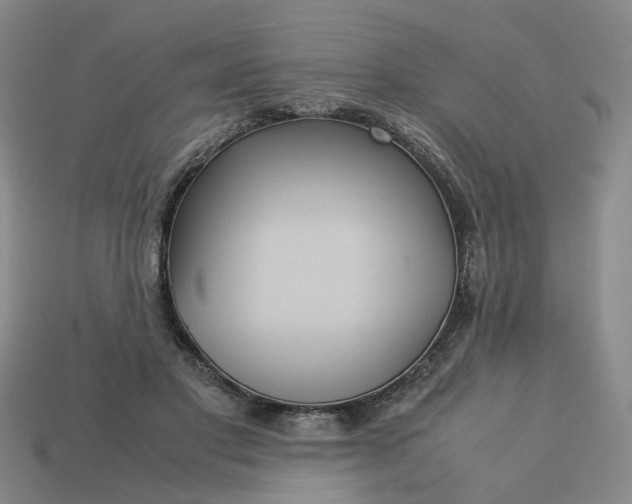 X0000113250501200910011349