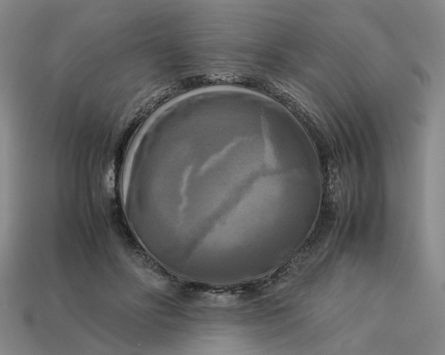 X0000113250502200910011349