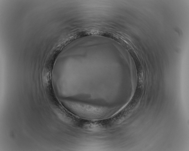 X0000113250503200910011349