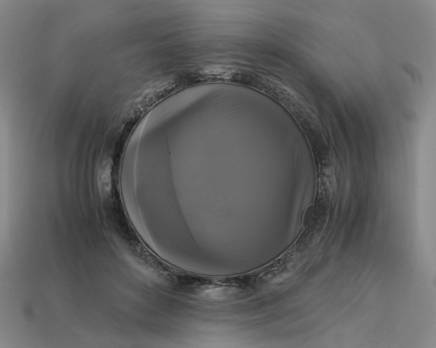 X0000113250504200910011349