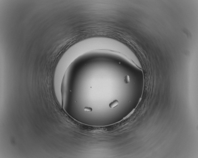 X0000113250505200910011349