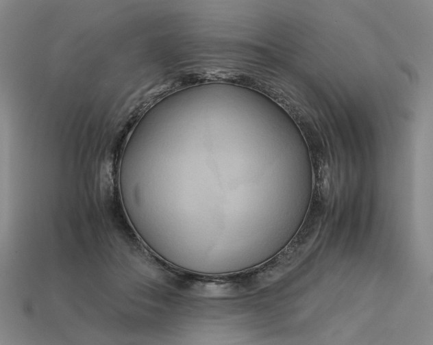 X0000113250506200910011349