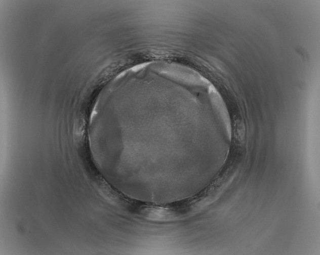 X0000113250507200910011349