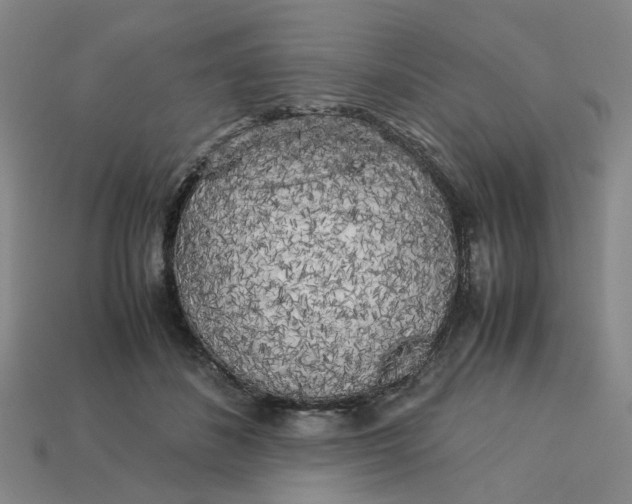 X0000113250508200910011349