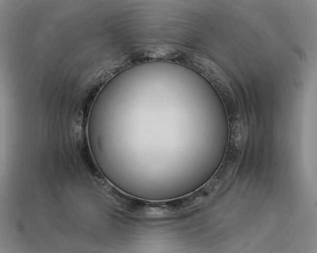 X0000113250510200910011349