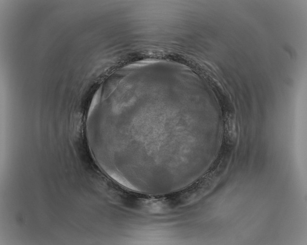 X0000113250511200910011349