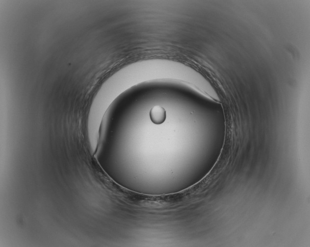 X0000113250512200910011349