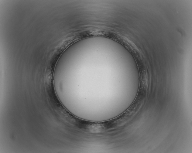 X0000113250513200910011349