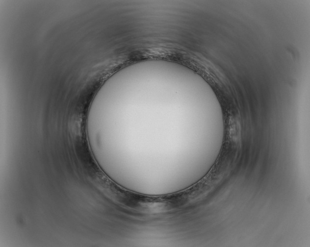 X0000113250514200910011349