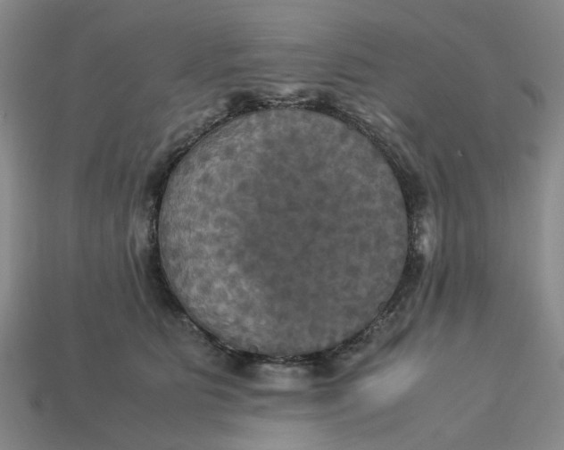 X0000113250515200910011349