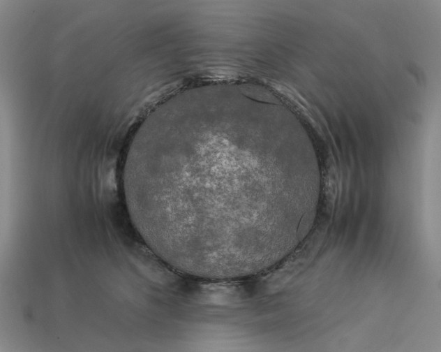 X0000113250516200910011349