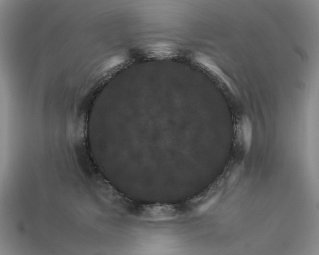 X0000113250517200910011349