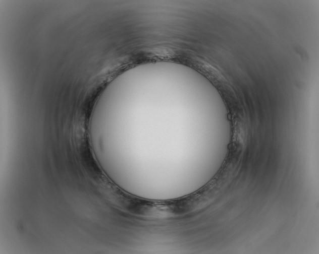 X0000113250518200910011349