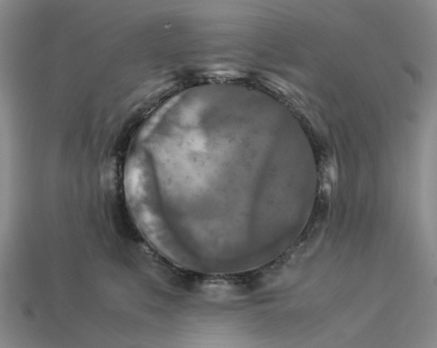 X0000113250519200910011349