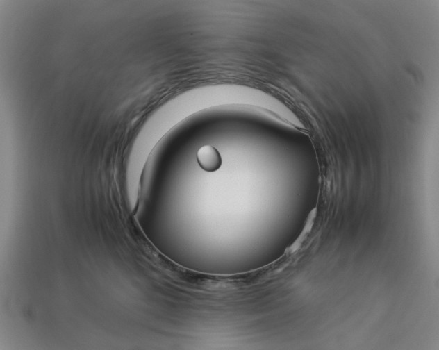 X0000113250520200910011349