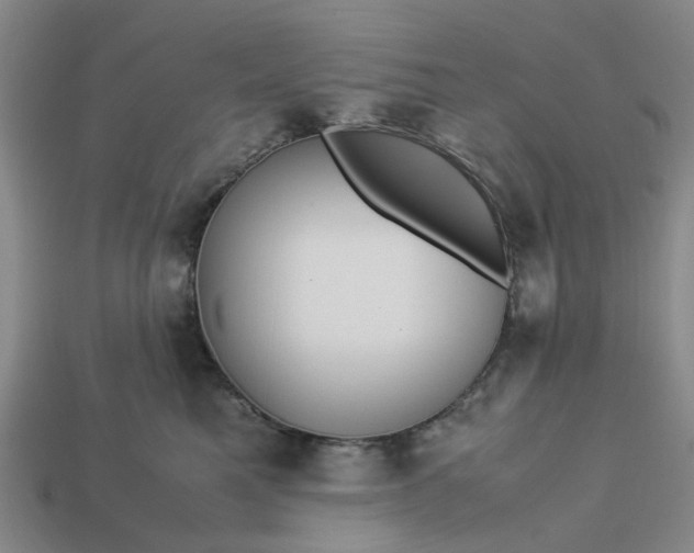 X0000113250521200910011349