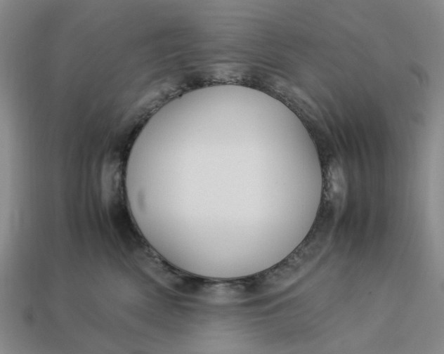 X0000113250522200910011348