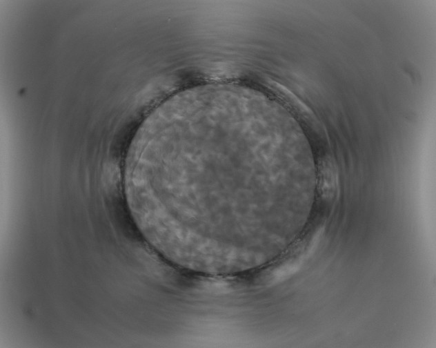 X0000113250523200910011348