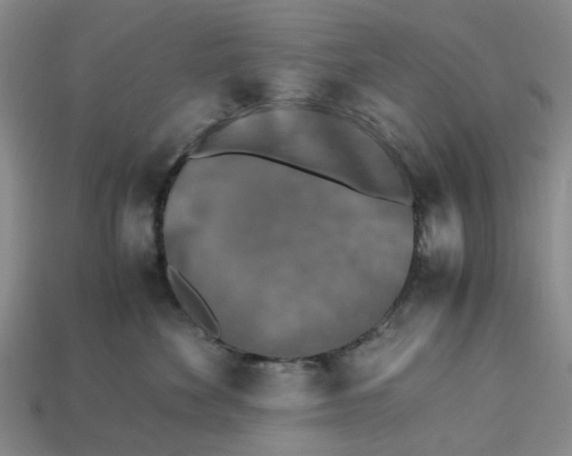 X0000113250524200910011348