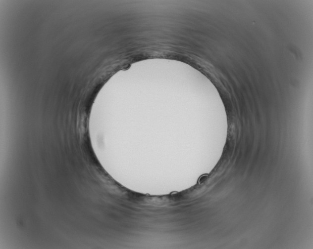 X0000113250525200910011348