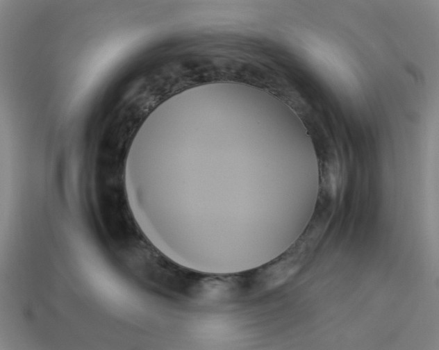 X0000113250526200910011348