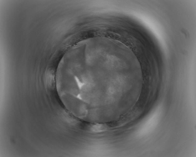 X0000113250527200910011348