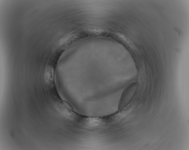 X0000113250528200910011348