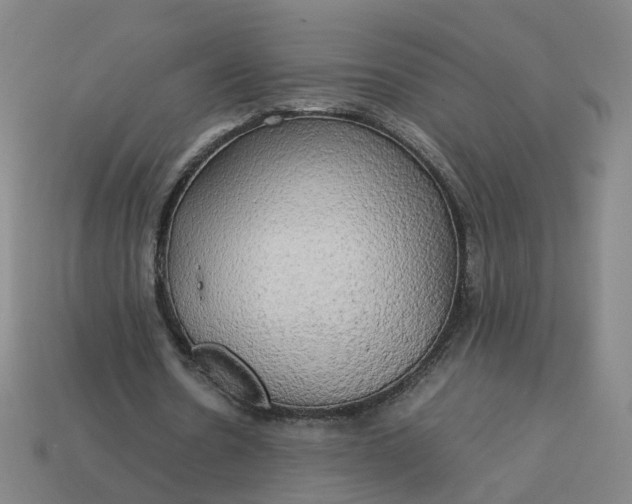 X0000113250530200910011348