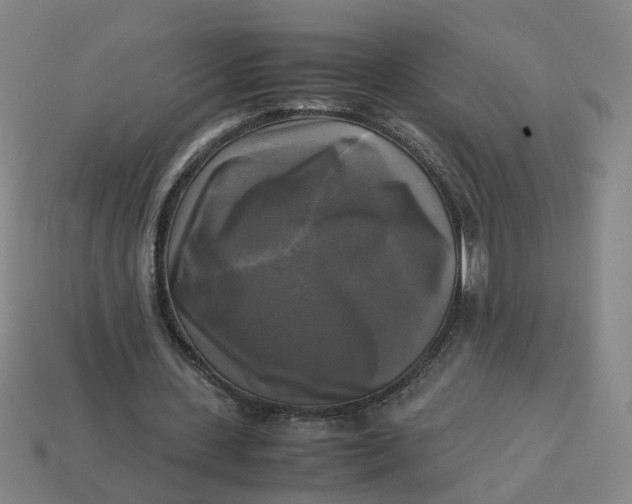 X0000113250531200910011348